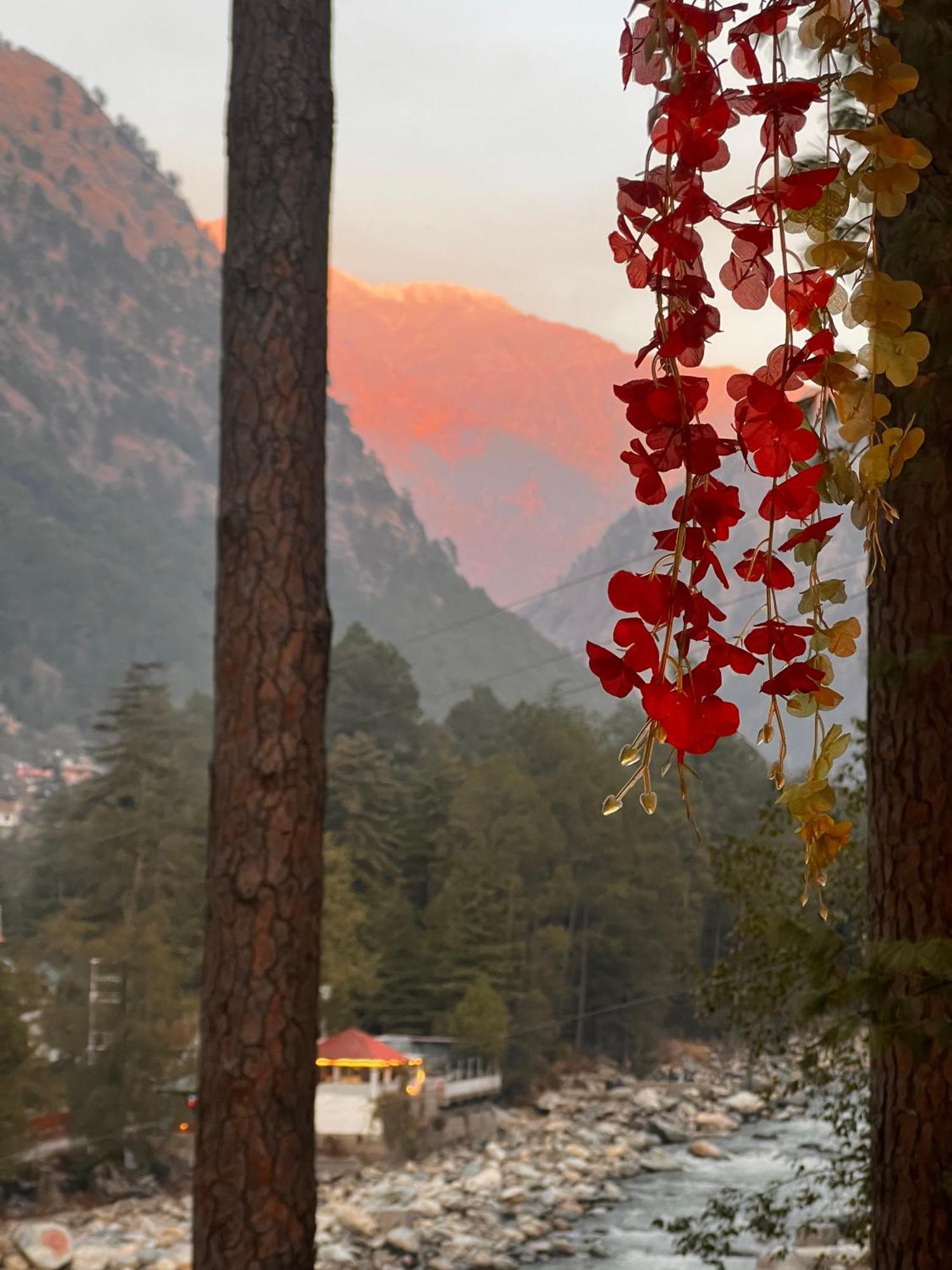 Ahava Kasol Riverside Cafe And Cottages Zewnętrze zdjęcie